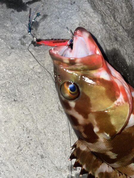 ロックショア納め