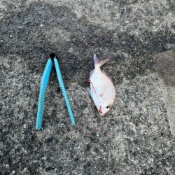 アジュール舞子埋蔵金レベル１