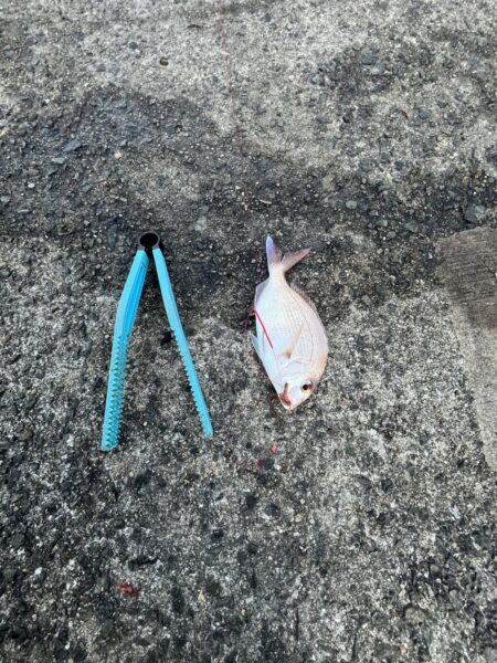 アジュール舞子埋蔵金レベル１