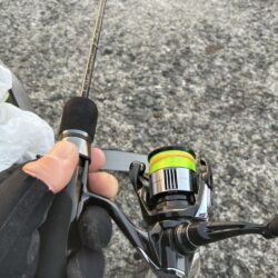 エサには負けます