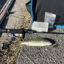 北湖漁港小バス祭り