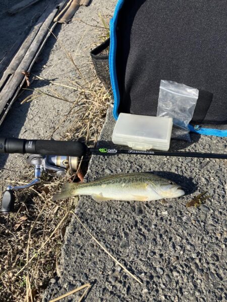 北湖漁港小バス祭り