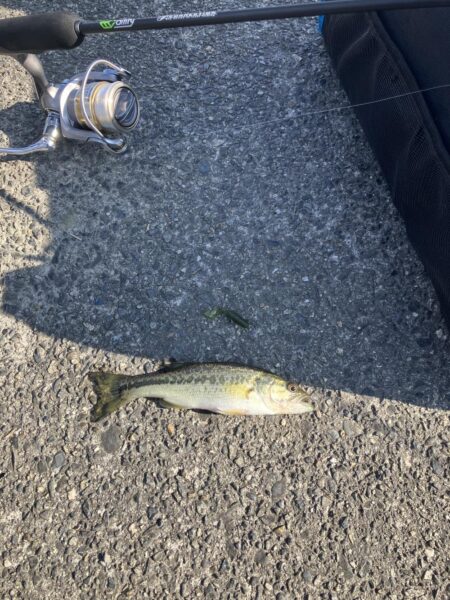 湖西ランガン続