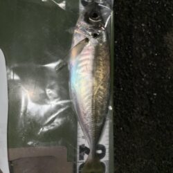 釣り納まらず…