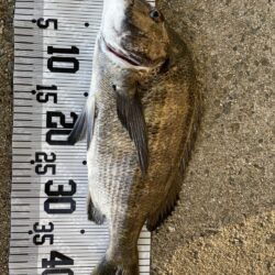 イチノ兄弟、釣果！