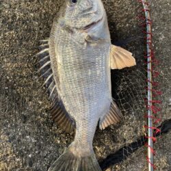 イチノ兄弟、釣果!