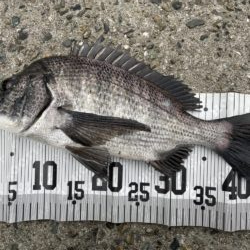 イチノ兄弟、釣果!