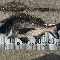 イチノ兄弟、釣果!