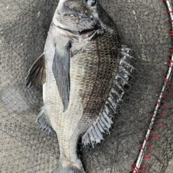 イチノ兄弟、釣果！