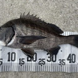 イチノ兄弟、釣果！