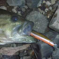 一庫ダム釣行　12月8日