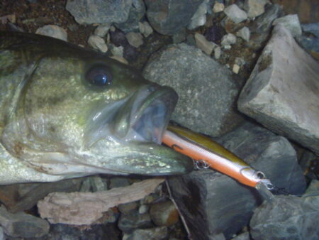 一庫ダム釣行　12月8日