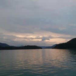 渋い季節になって来た