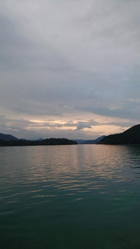 渋い季節になって来た