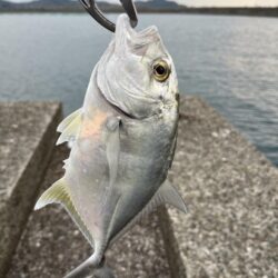 初ポイントにて