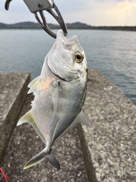 初ポイントにて