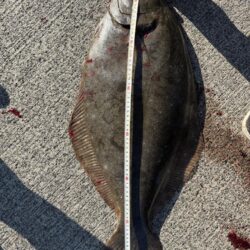 ショアジギング