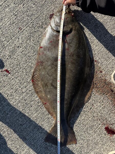 ショアジギング