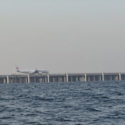 横浜周辺タコエギ