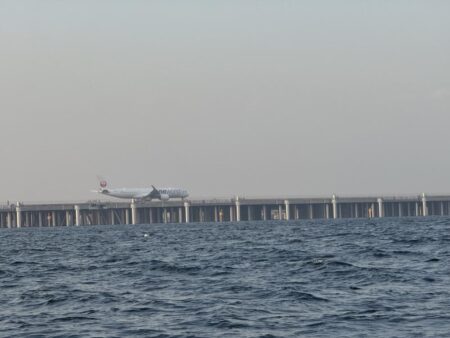 横浜周辺タコエギ