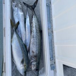 デイ太刀からの青物ジギング