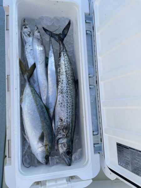 デイ太刀からの青物ジギング