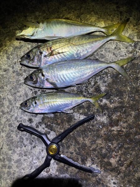 フロートアジング