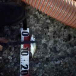 ひさびさ垂水漁港