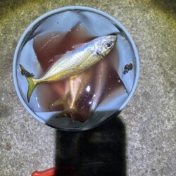 フロートアジング　