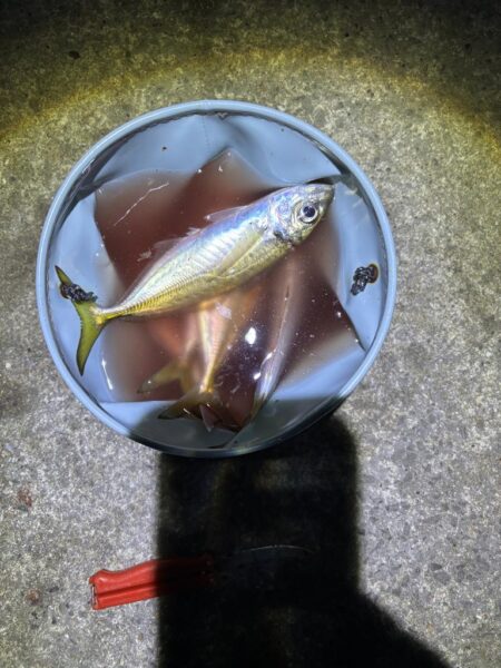 フロートアジング　