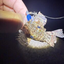 メバル調査からのアジング