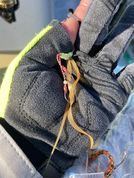 タイラバで冬鯛