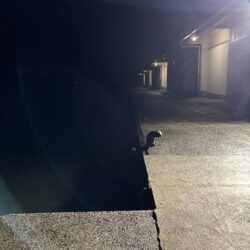 小雨で人がいないしアジもいない