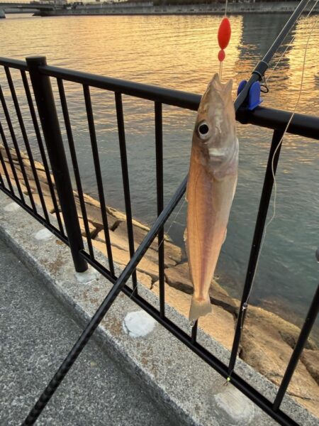 今年最後の釣り納め