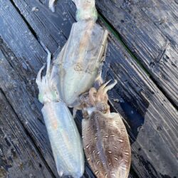 三重ティップラン