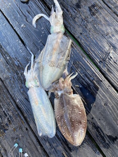 三重ティップラン