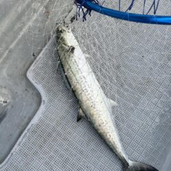 厳しかった釣り納め