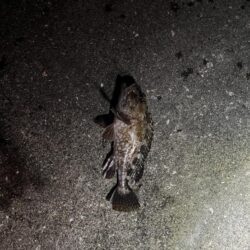 ボトムアジング