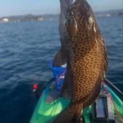 supフィッシング SLJ