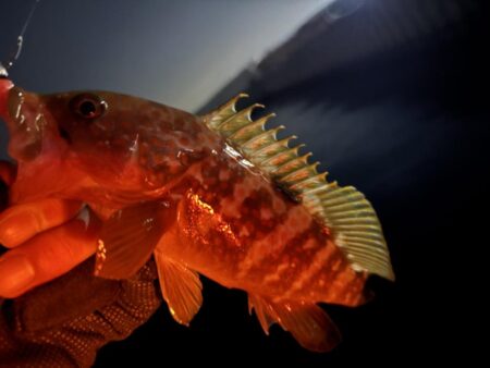 年末最後の釣行