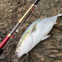 ショアプラッキング