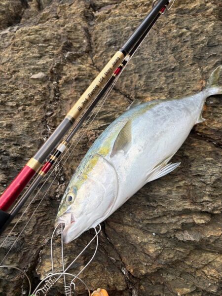 ショアプラッキング