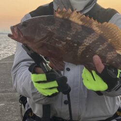 高級鍋食材逃がさないぞ！
