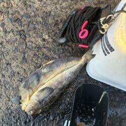 穴釣りおもしろい