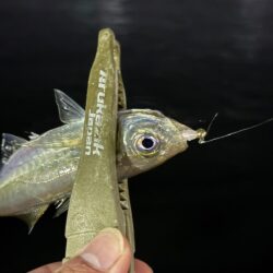 友達は手からオキアミを出している