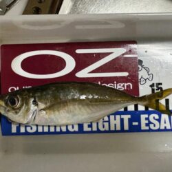 年末大感謝祭に潜入