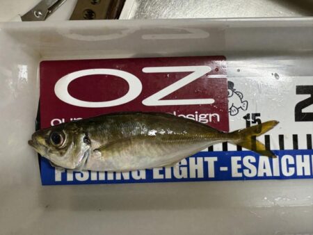 年末大感謝祭に潜入