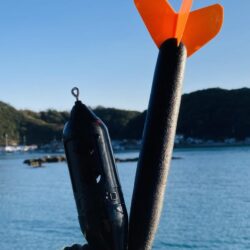 カゴ釣りで高級魚白アマダイ