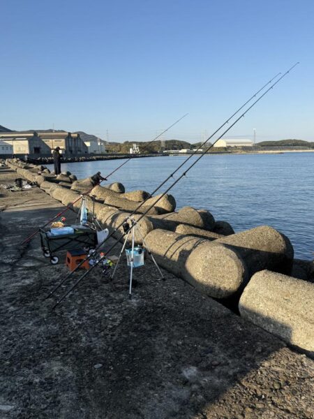 カレイ釣り