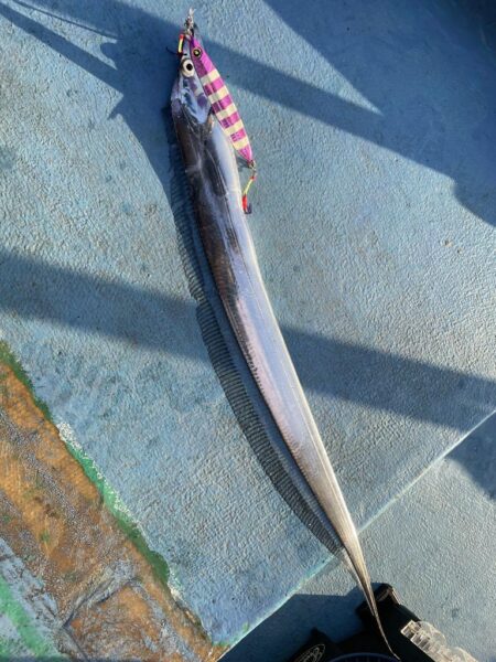 太刀魚ジギング